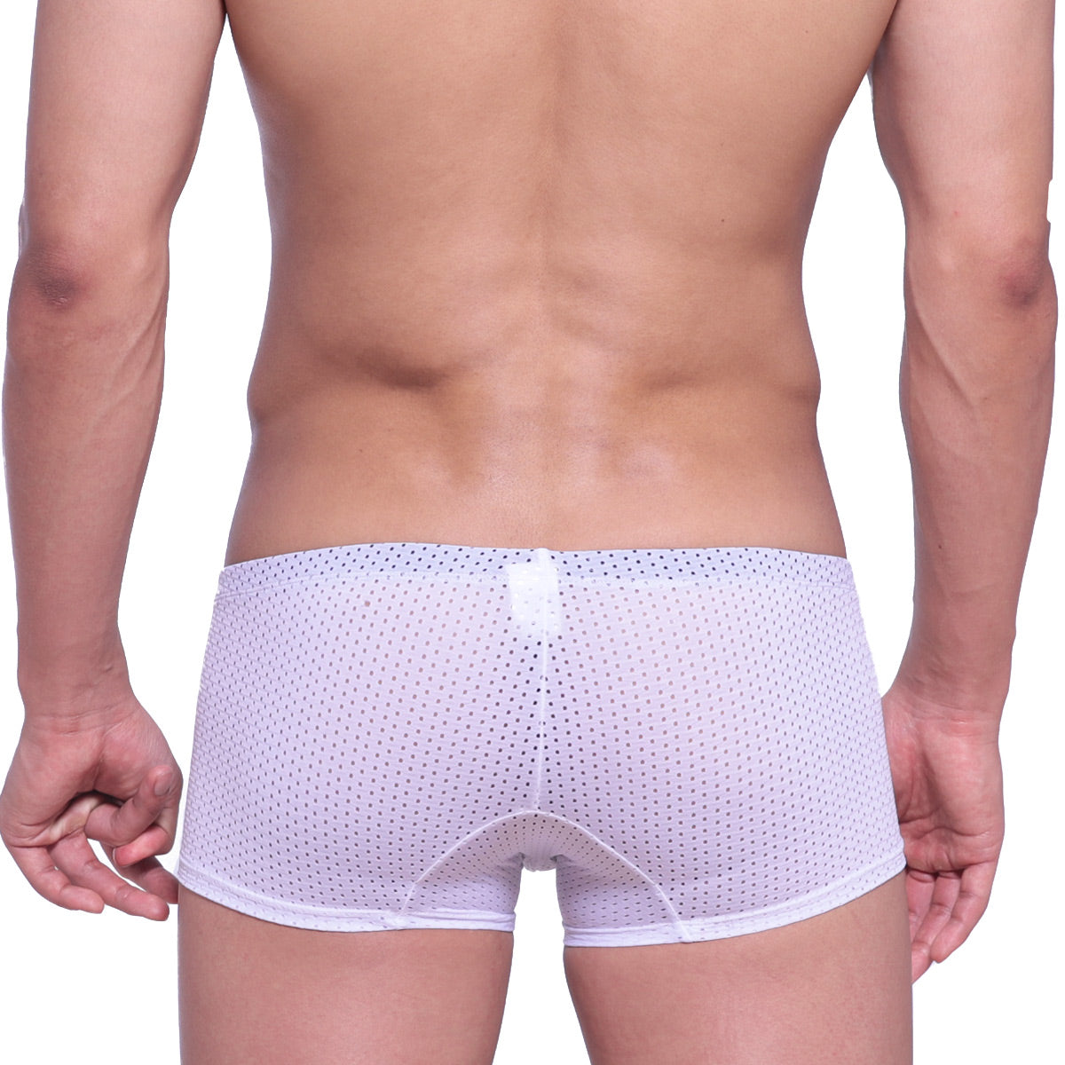 White mesh briefs with subtle dot pattern and reinforced waistband from MetroMaleWear Neon Boxer White 1222-00 collection