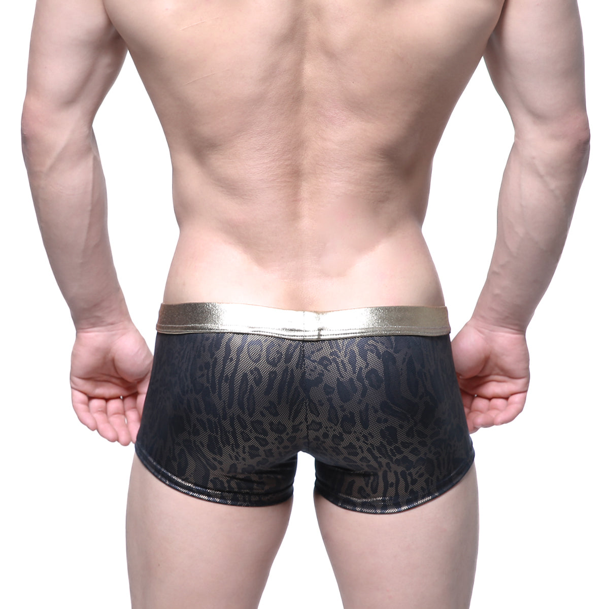 Black leopard-print briefs with shiny gold waistband by MetroMaleWear gloss trunk model 2026-78