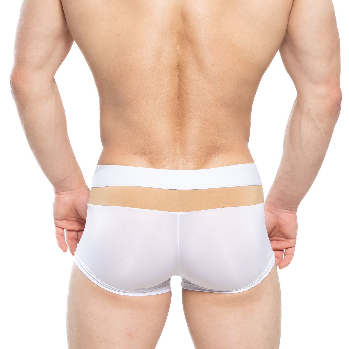MetroMaleWear Parisienne short boxer white translucent briefs with beige horizontal stripe waistband front view
