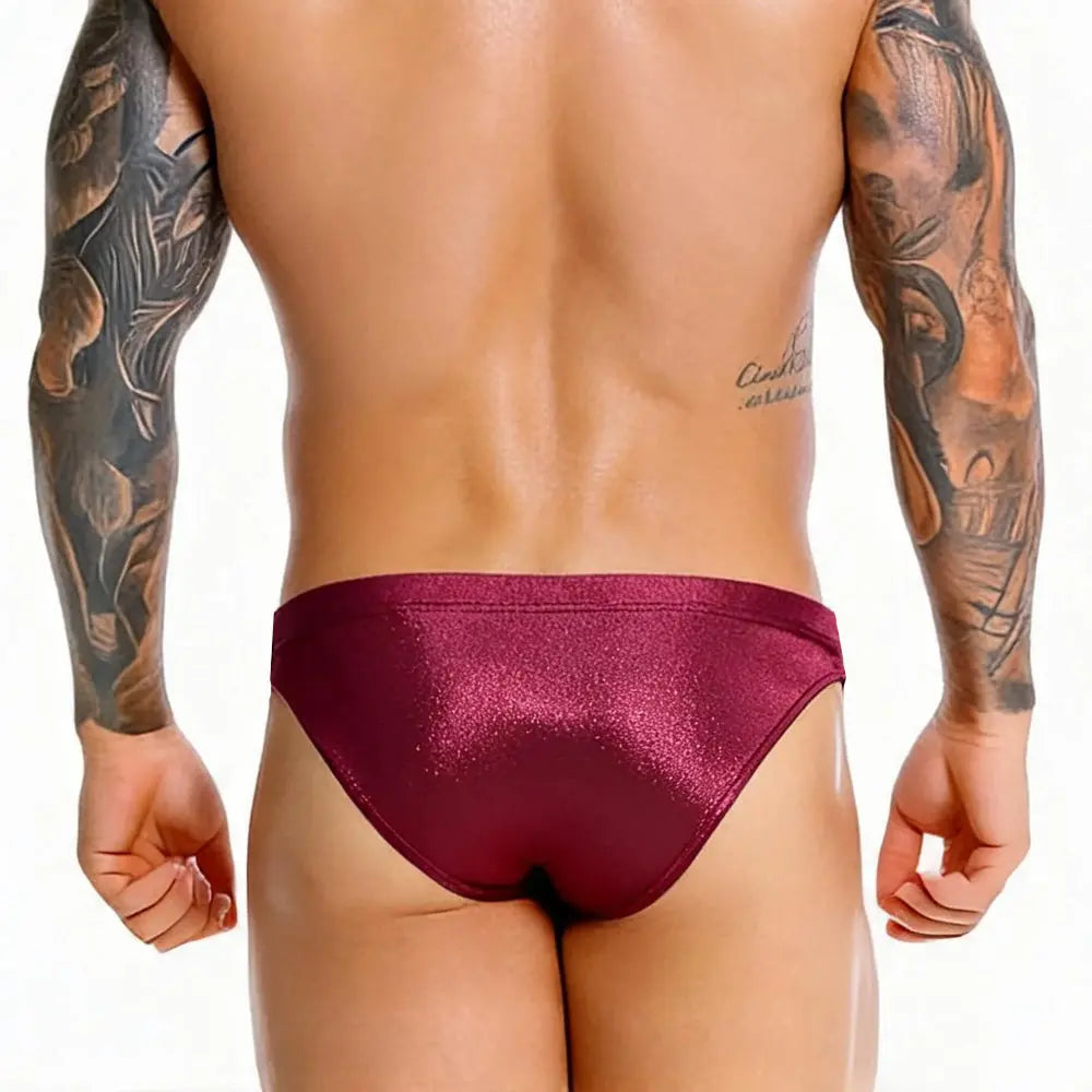 MetroMaleWear (M2W) Herren-Bikini Emperador Bordeaux 3604-M22