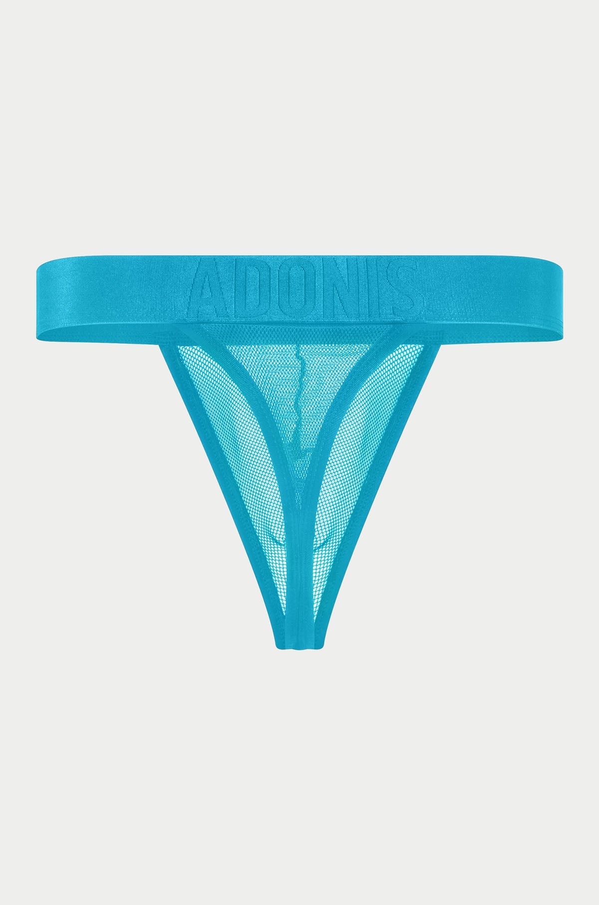 Adonis by Kyhry Men's Luxe Mesh Temptation Blue Thong