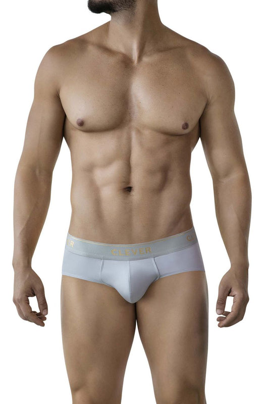 Light gray clever 2028 valladolid briefs with a seamless design and subtle gold logo band at the waist