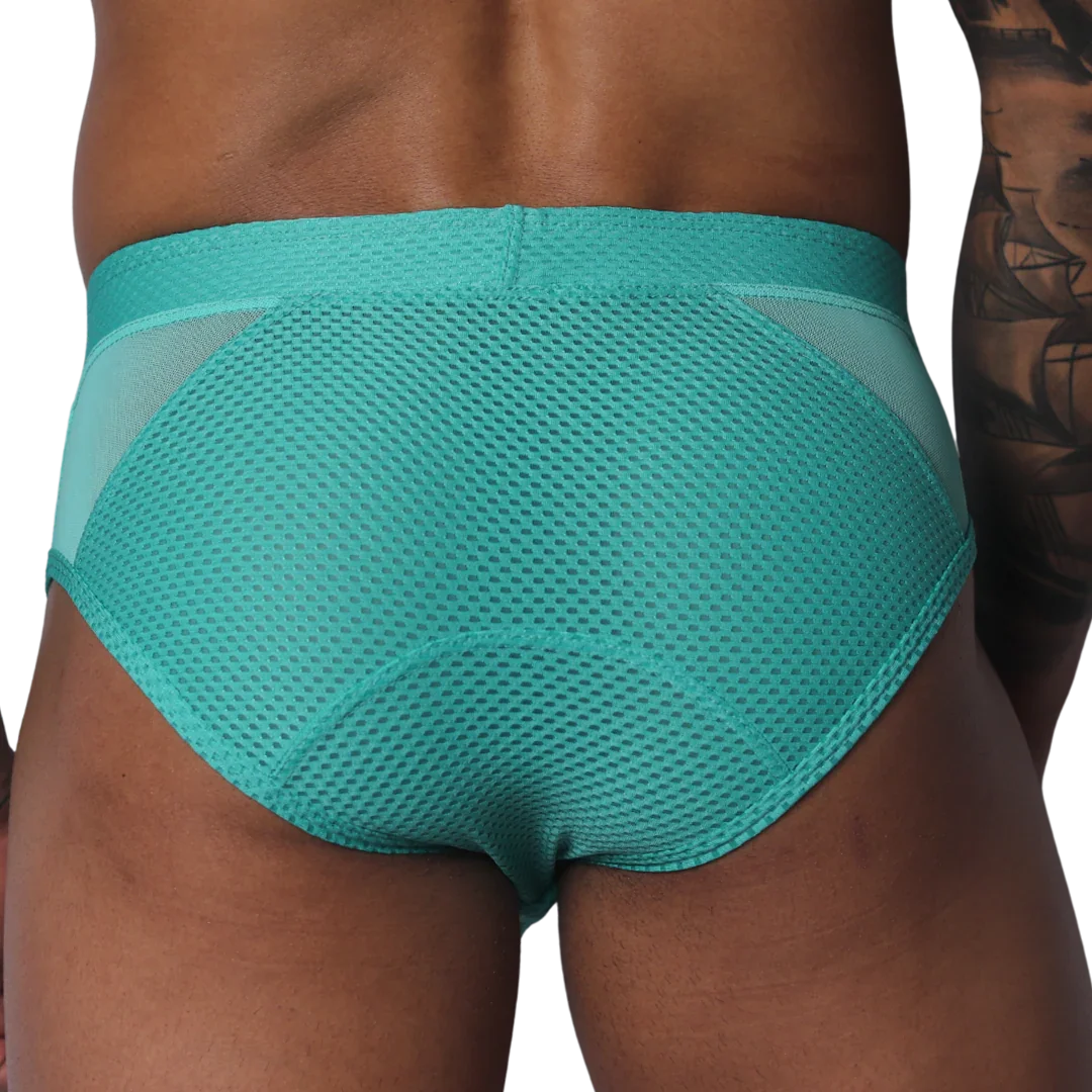 Teal mesh brief with a wide waistband, featuring semi-sheer side panels and a solid center texture.