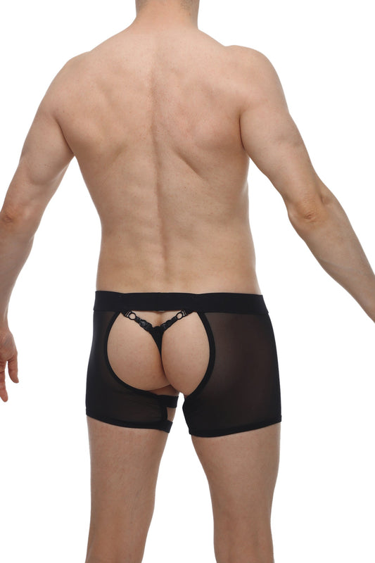 Back view of petitq boxer string garter angy black sheer mesh briefs with lace trimmed open rear panel
