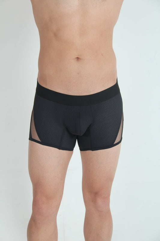 Tulio Mesh Panel Trunk Underwear - Black
