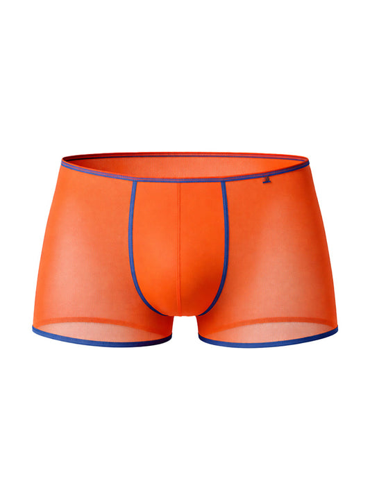 Pride USA Men's Mesh Gossammer Trunk