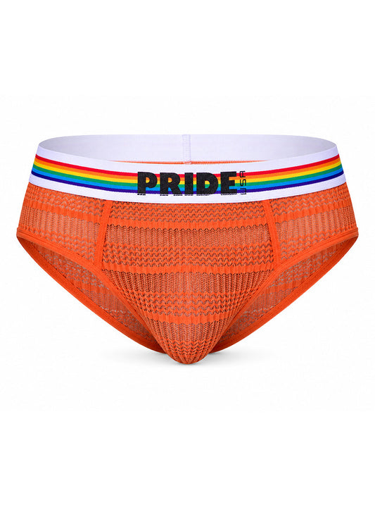 Pride USA Men's Sheer Mesh Archery Brief See-Through Underwear