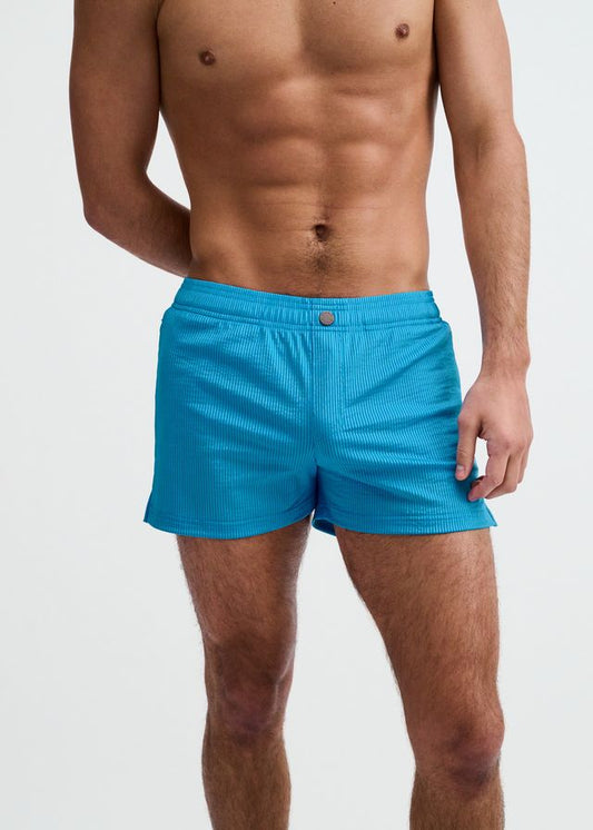 ST33LE Pinstripe Swim Short - Cobalt Pinstripe