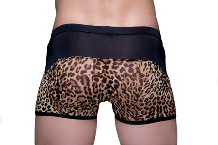 Black and tan leopard-print tartarus peakaboo trunk briefs with a sheer mesh waistband for stylish comfort