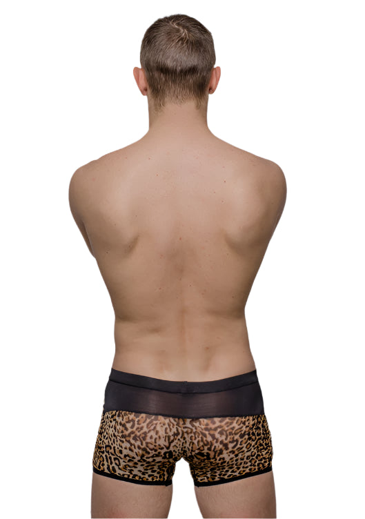 Leopard-print briefs with black elastic waistband and trim from tartarus peakaboo trunk collection