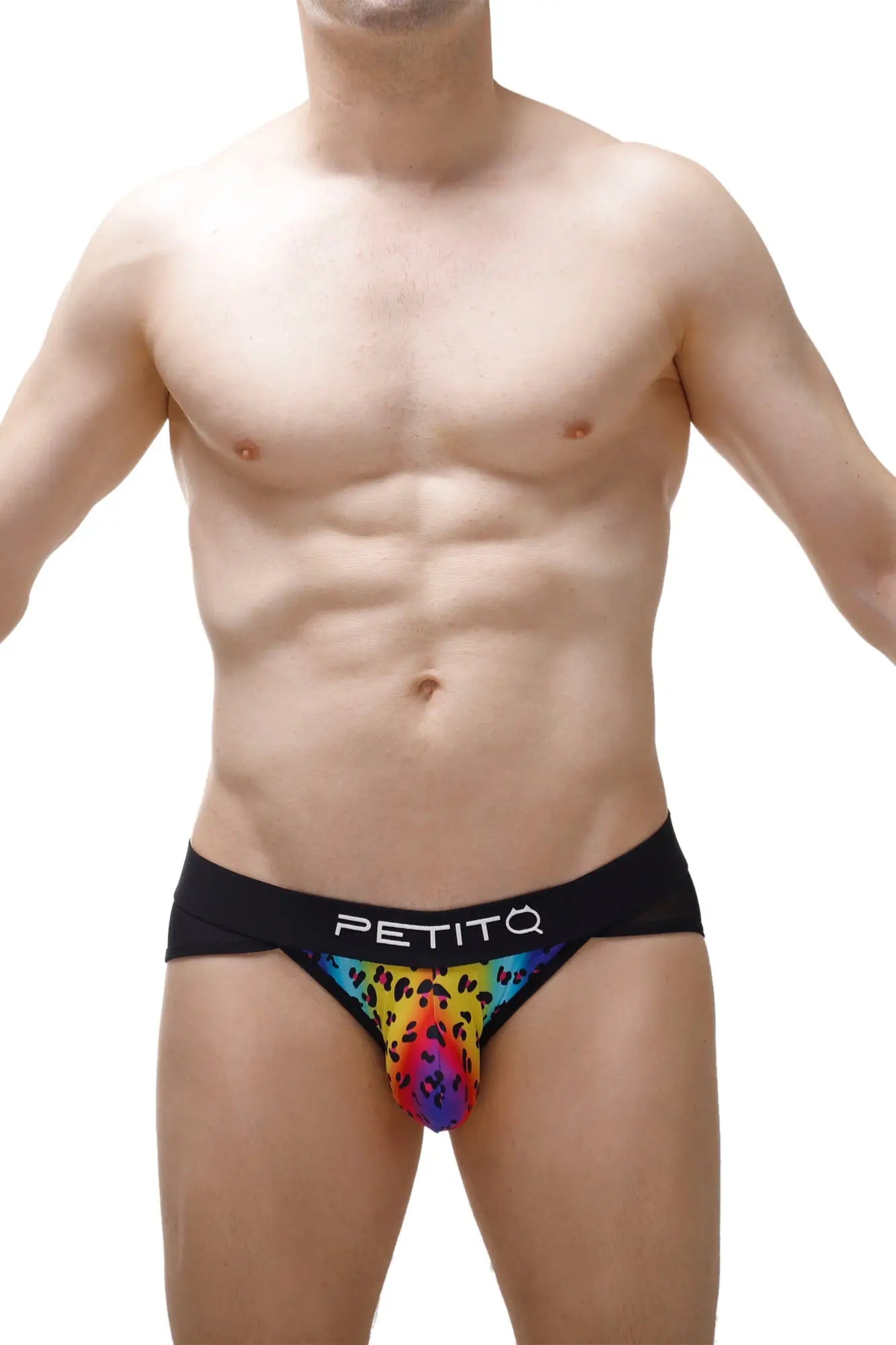 Bikini lagny leopard rainbow briefs with rainbow leopard print and black petitq waistband