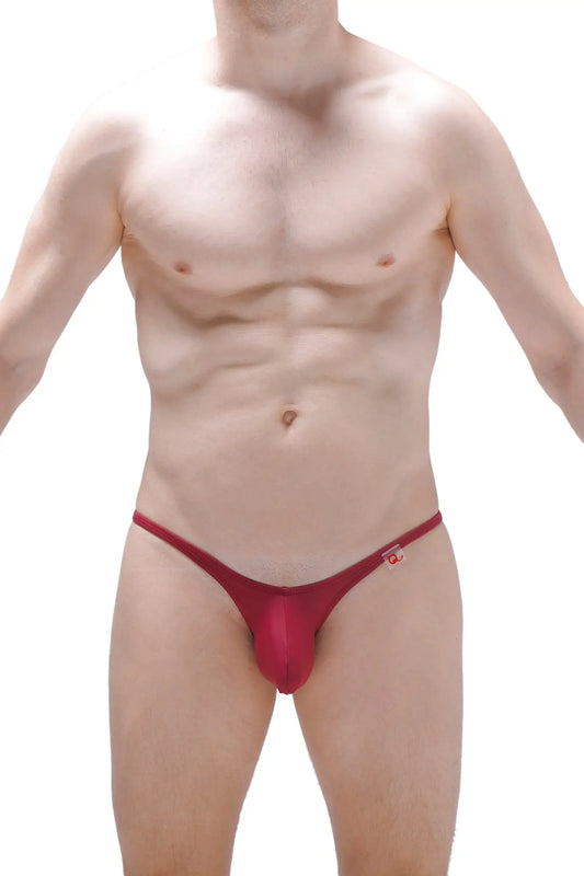 Red form-fitting thong bikini plellis burgundy with a small logo on the sideband shown from the back side