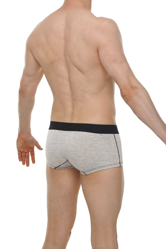 PetitQ Boxer Brief Dome Modal Gray
