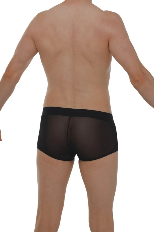 Black sheer mesh briefs boxer petitq net black with solid black waistband for a stylish comfortable fit