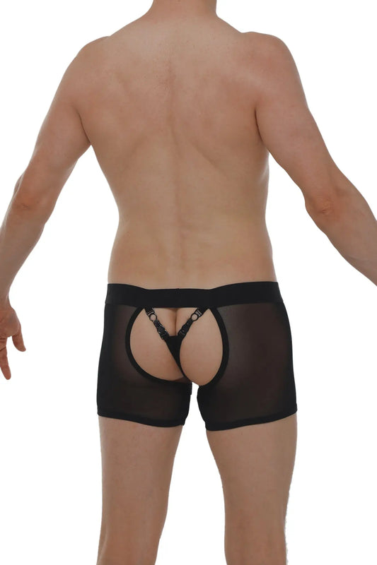 Black sheer mesh boxer string garter angy net briefs with lace trimmed back panel and adjustable straps shown from back