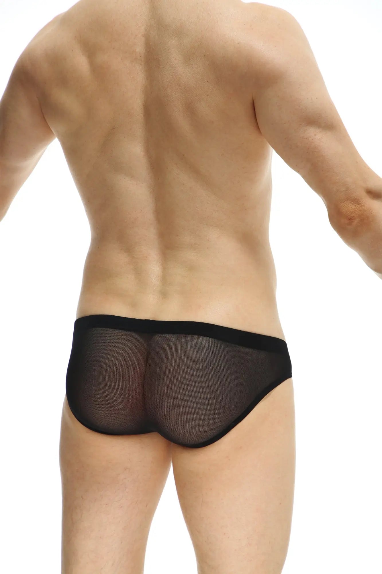 Brief Aubiac black sheer mesh briefs with a solid black waistband designed for stylish comfort