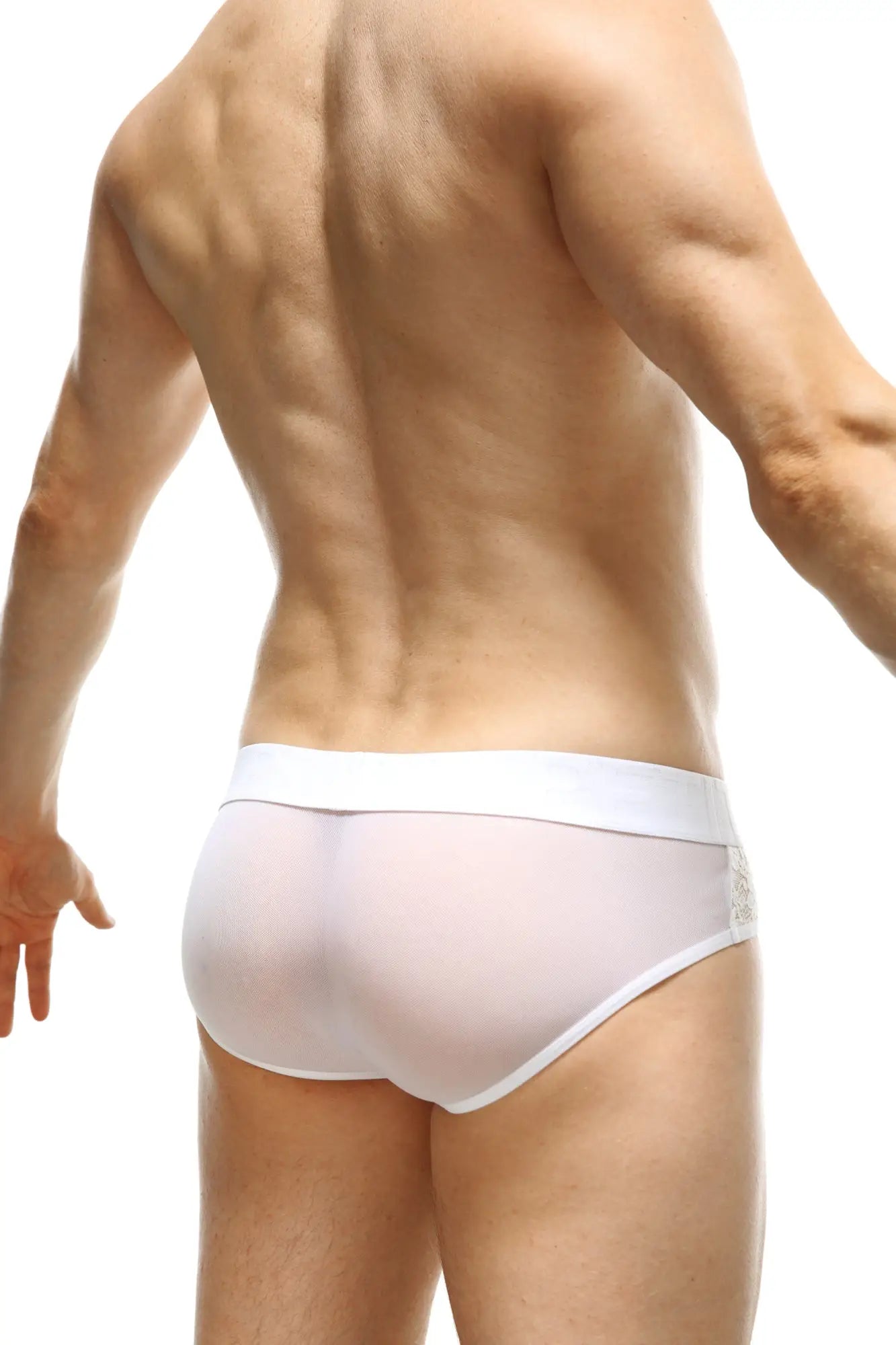 White sheer briefs ethel white lace with solid waistband and subtle lace side detailing for comfortable everyday wear