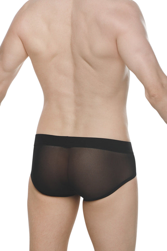 PetitQ Brief Lescar Tesson