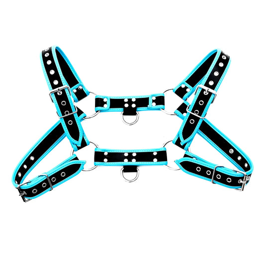 Black and turquoise leather bulldog harness with piping and silver toned metal hardware shown from the back side