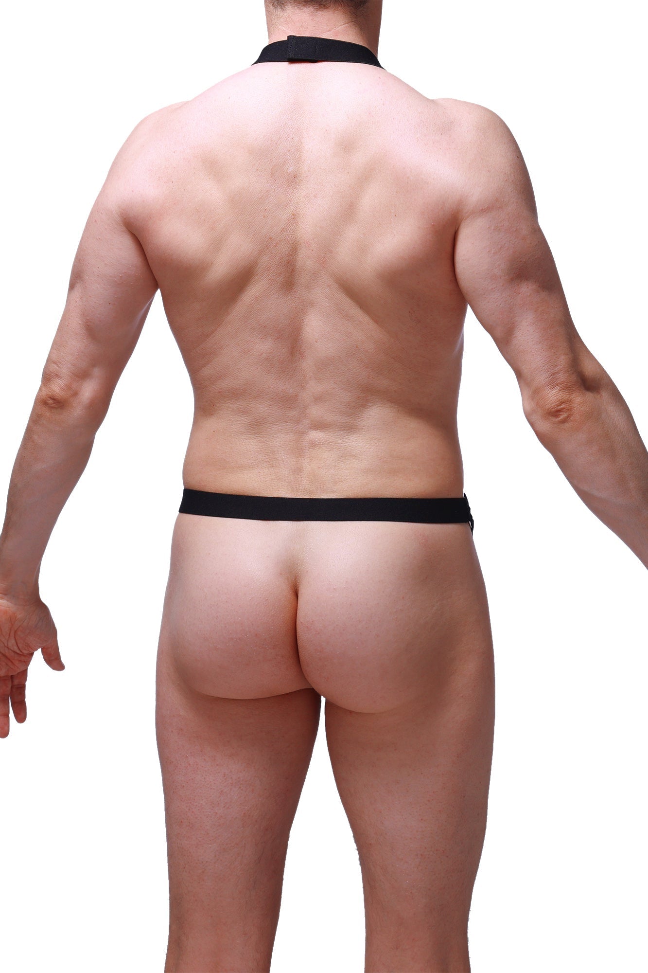 PetitQ Harness Augnax Black