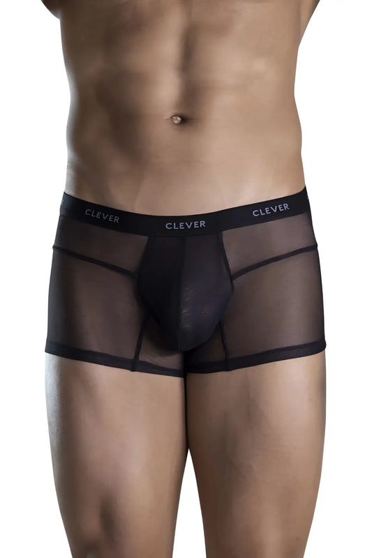Black sheer mesh briefs with solid inner panel and elastic waistband featuring clever brand name color black