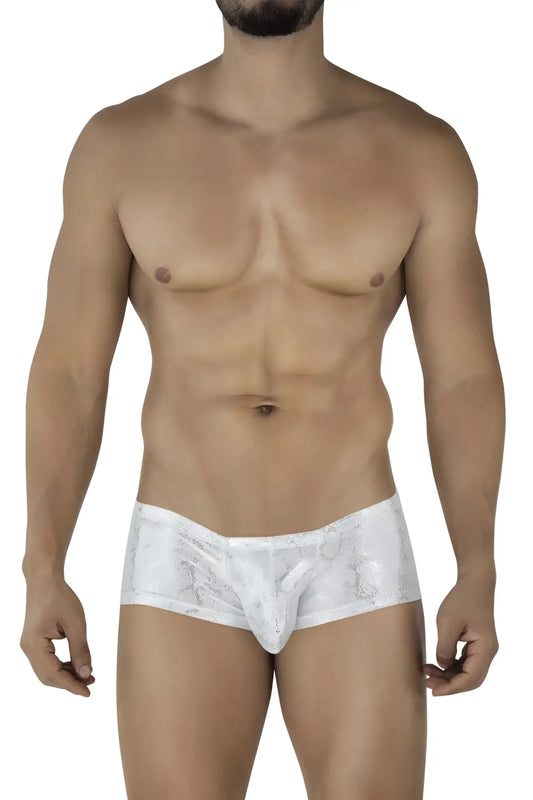 White lace-trimmed silver clever 2061 diamond trunks briefs with subtle shimmering pattern and elegant design