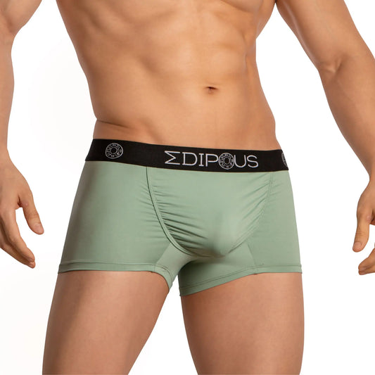 Mint green edipous edg036 men’s briefs with black waistband and white brand name for comfortable daily wear