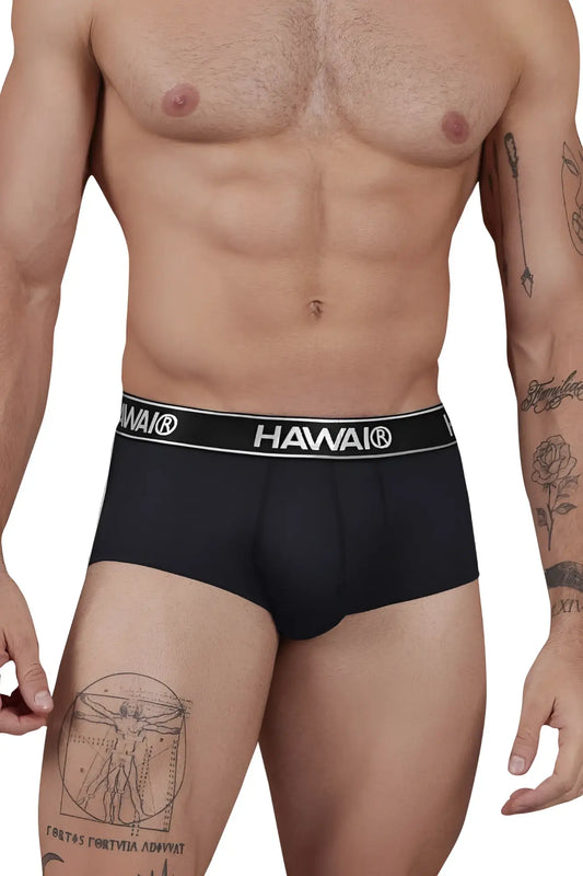 Black hawai microfiber briefs in black with a contrasting white waistband featuring the brand logo