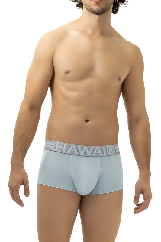 Light blue Hawai 41961 microfiber men’s briefs with matching elastic waistband featuring the brand logo