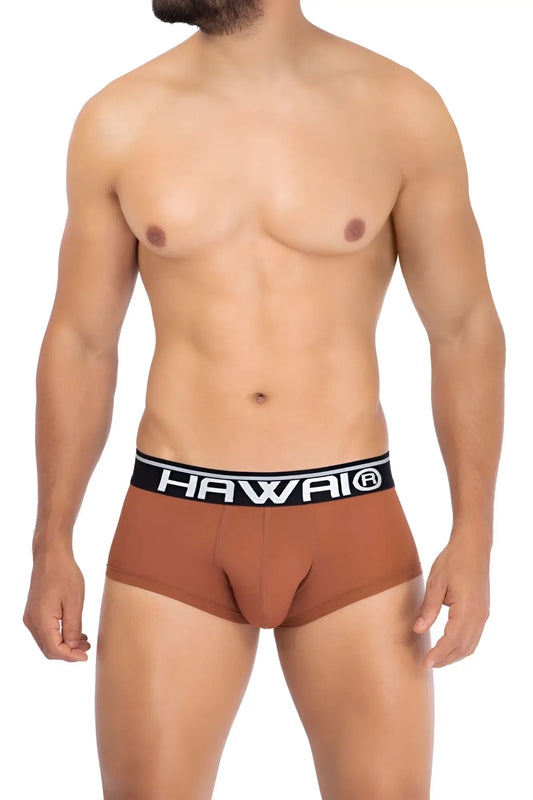 Brown hawai 42181 solid microfiber men’s briefs in amber with black waistband and white hawaii logo