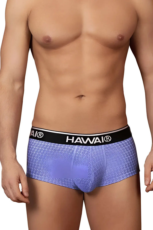 Purple patterned briefs with black hawaii waistband in blue color from hawaii 42431 printed briefs collection