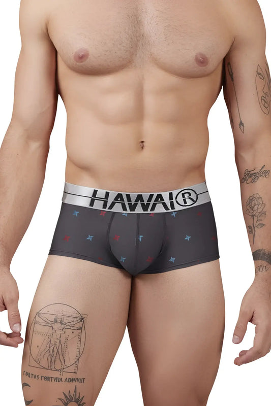 Dark gray hawai 42530 printed microfiber boxer briefs with silver waistband and red blue white star patterns