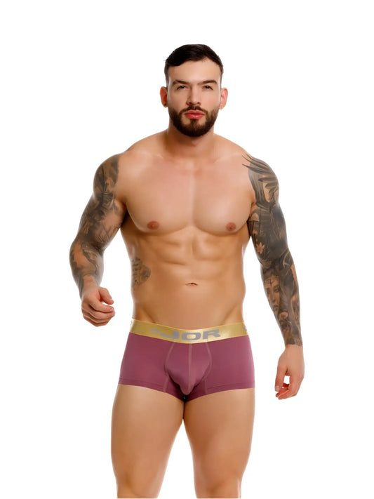 Purple dior boxer briefs with gold waistband featuring the dior logo in color wine jor 2326 soho trunks