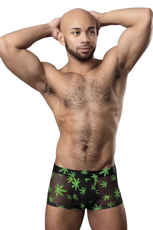 Male power 145-294 hazy dayz black pouch short briefs with vibrant green cannabis leaf pattern for men
