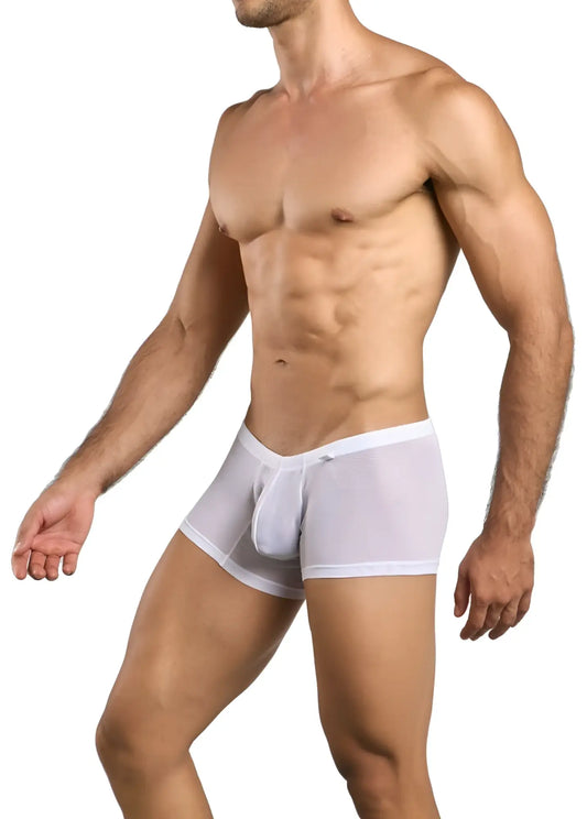 Malebasics mbl78 lace trunks in white sheer mesh briefs with a solid white waistband for men