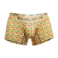 MaleBasics MB201 New Colors Trunk Hipster | USA3SP