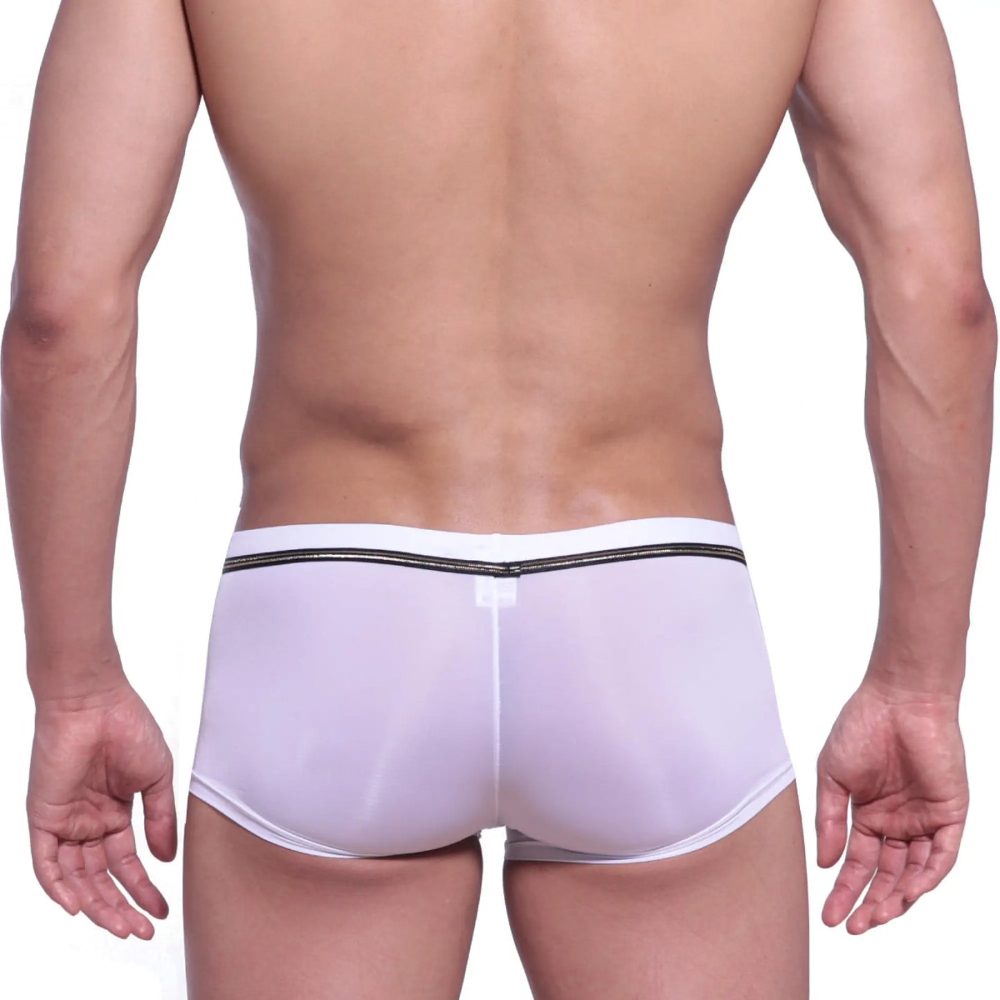 Back view of metroMalewear faro boxer brief white 2026-39 featuring white sheer briefs with black waistband and logo