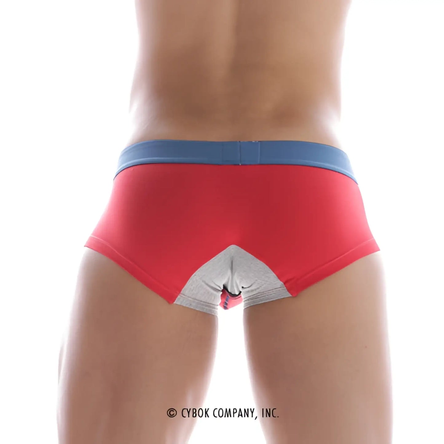 Back view of metrimalewear micro mini boxer red 7013-12 red briefs with blue waistband and white triangular design