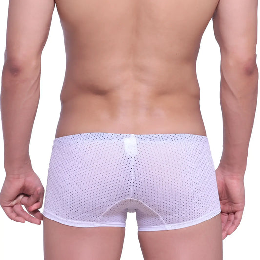 White mesh briefs with subtle dot pattern and reinforced waistband from MetroMaleWear Neon Boxer White 1222-00 collection