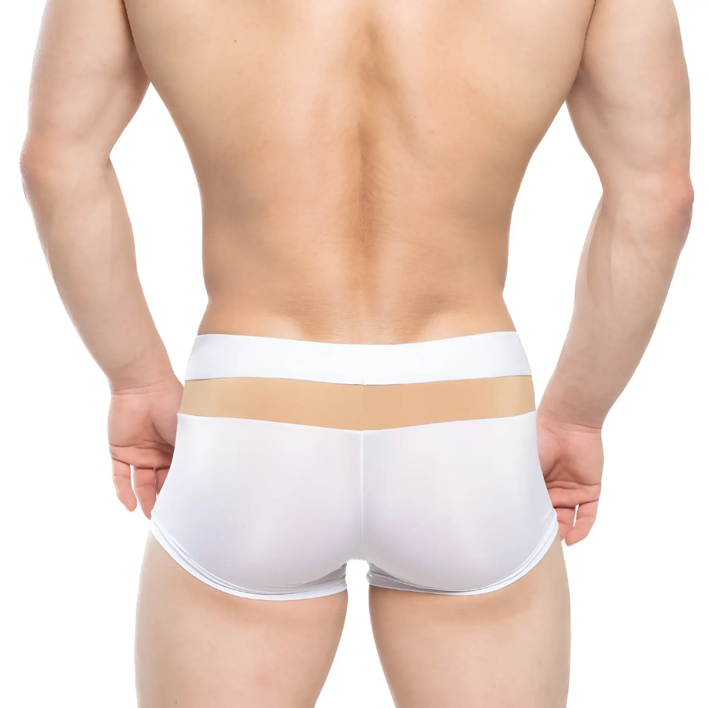 MetroMaleWear Parisienne short boxer white translucent briefs with beige horizontal stripe waistband front view