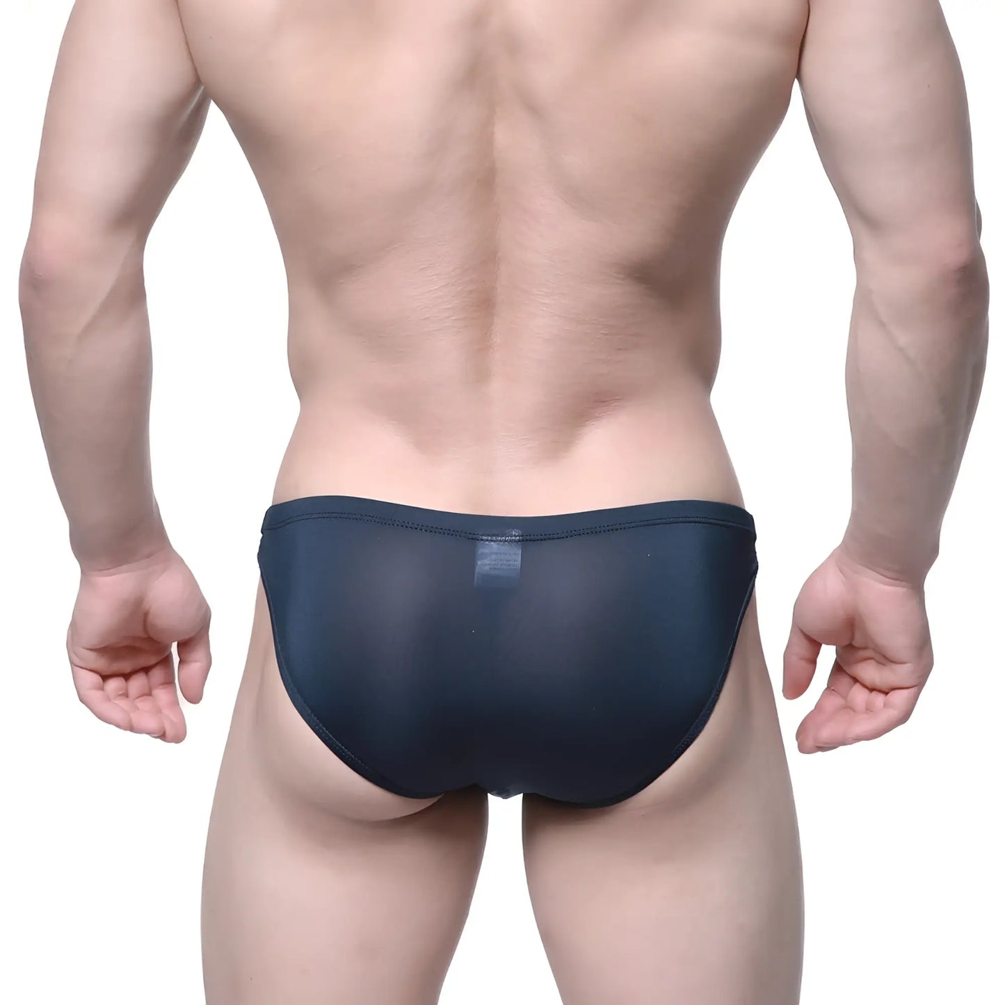 Dark navy sheer mesh briefs from metromalewear veus bikini 3603-19 showing front side design details