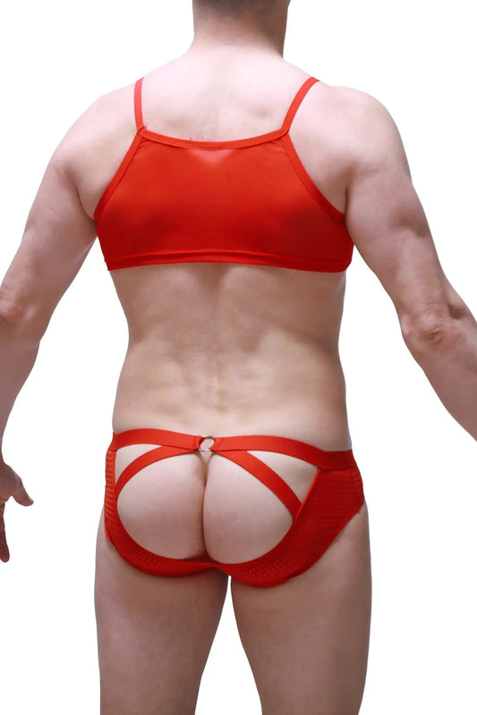 Red mesh briefs with crisscross back straps showing the back side of micro tank net red underwear