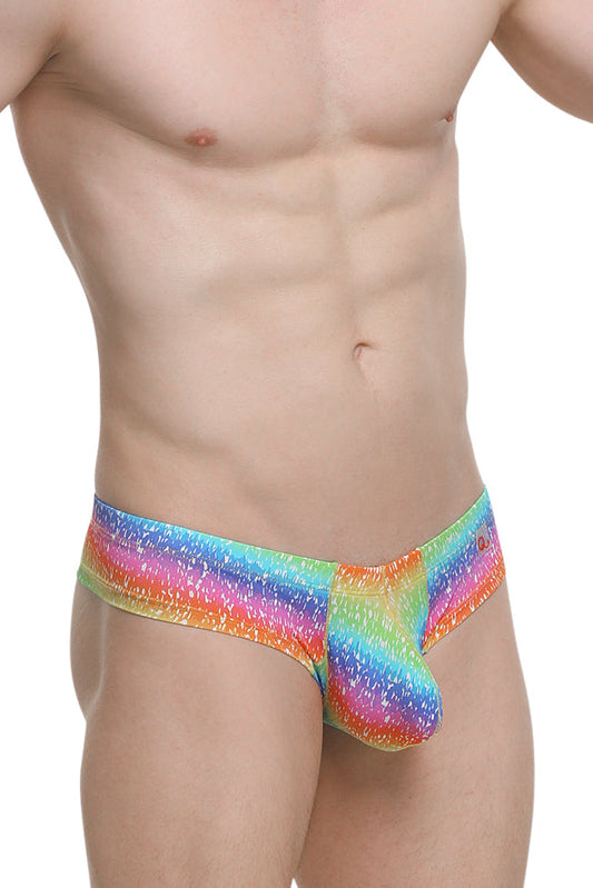 PetitQ Mini Boxer Arc-en-Ciel