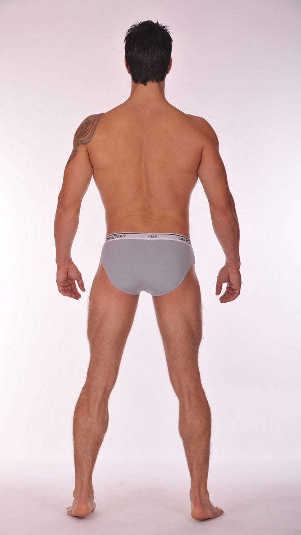 Obviously Pouch Brief Full Cut Underwear Light Grey PBR Size S