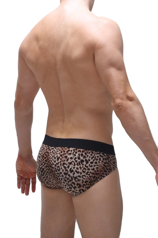 Petitq brief dome panthere leopard-print briefs with black elastic waistband front view in soft fabric