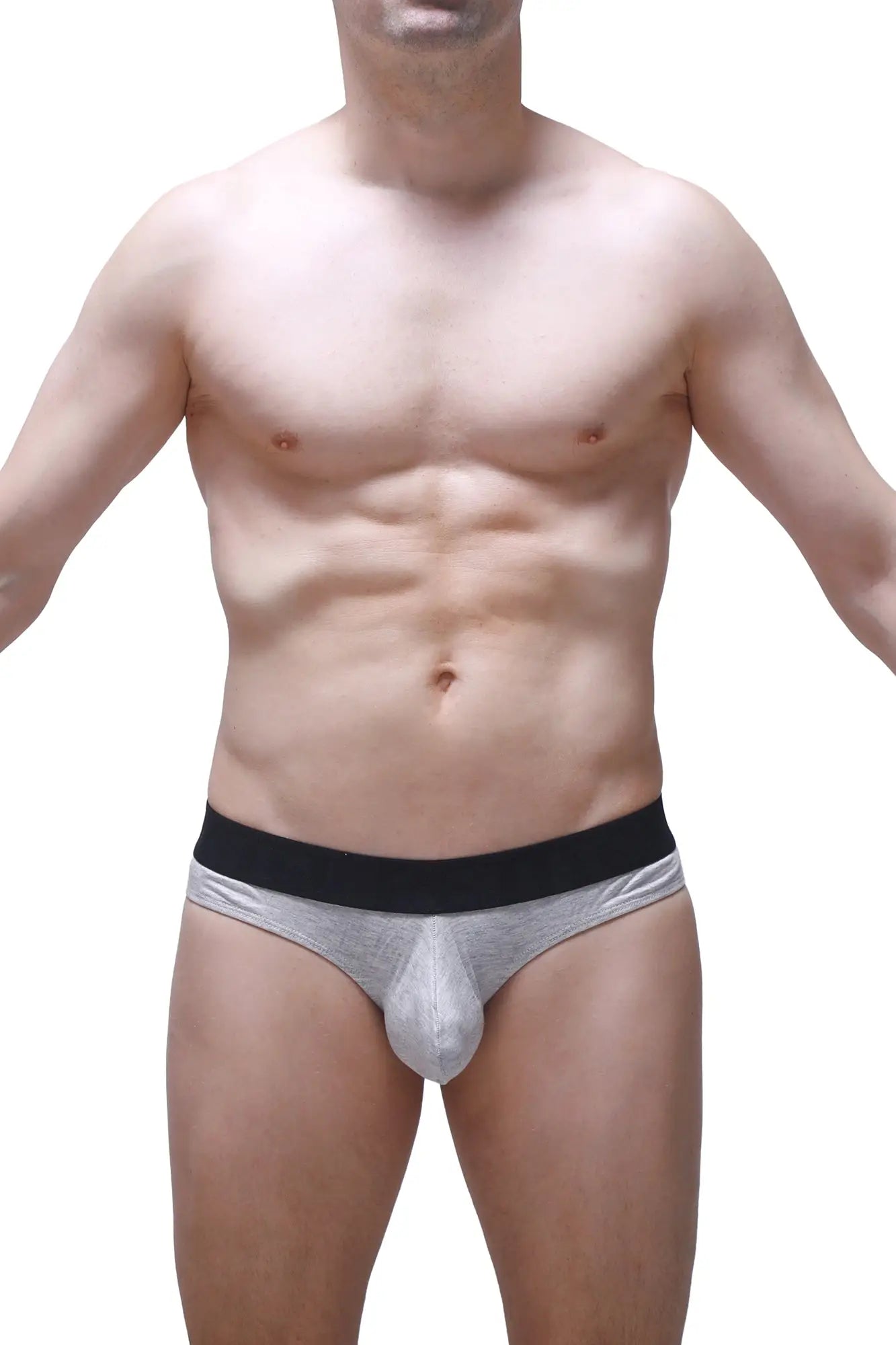 Silver metallic briefs with black elastic waistband made of modal fabric from petitq thong dome grey collection