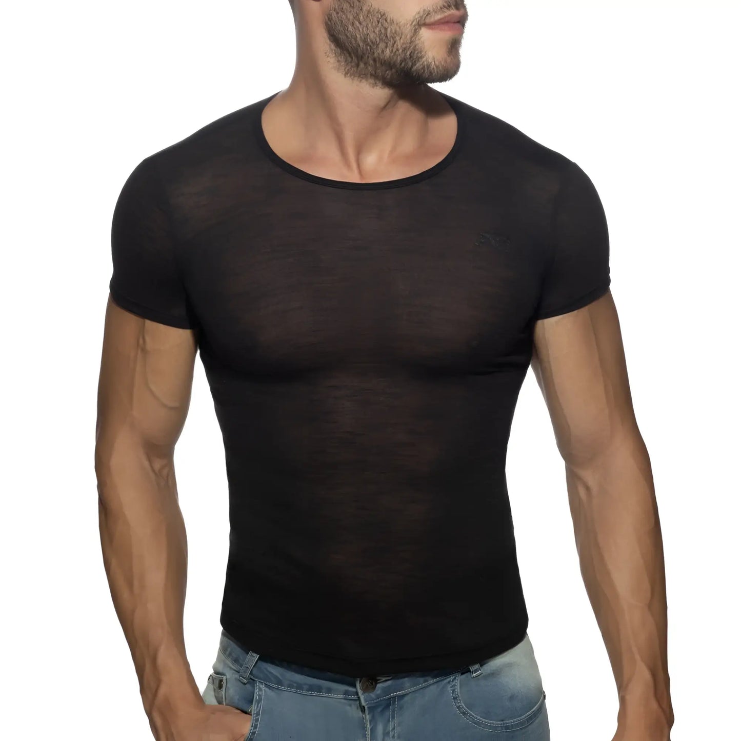 Black sheer mesh thin flame t-shirt with short sleeves and round neckline for lightweight breathable wear