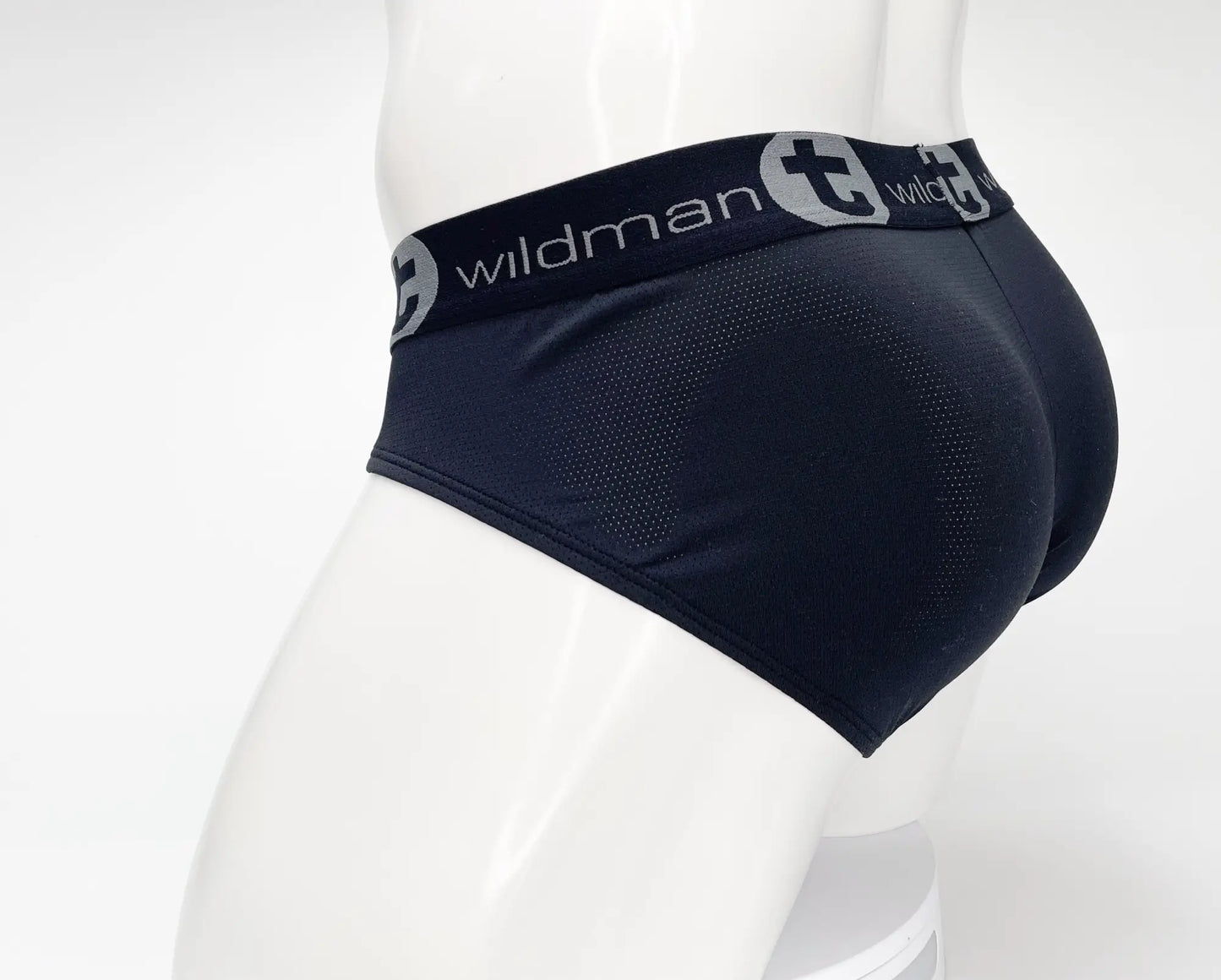 Black Wildman brand briefs with textured mesh panel and elastic logo waistband in WildmanT Mesh Monster Cock Brief Black
