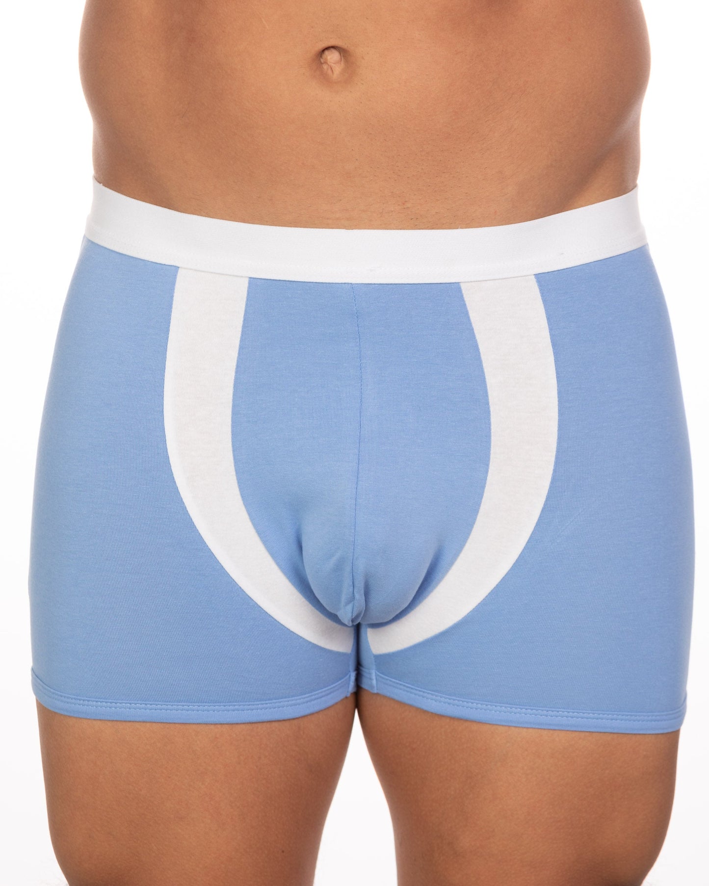 Light blue boxer briefs with white elastic waistband and bold curved stripe in a 10-pack undergear basix alex trunk