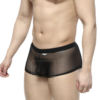 MetroMaleWear simple trunk black 1033-20 mesh briefs with solid waistband and small front logo